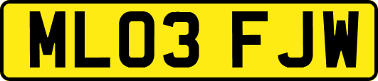 ML03FJW