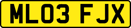 ML03FJX