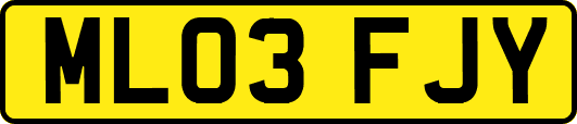 ML03FJY