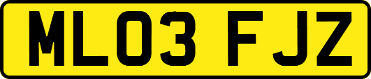 ML03FJZ
