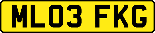 ML03FKG