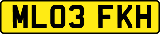 ML03FKH