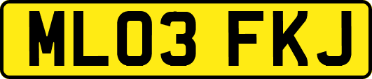 ML03FKJ