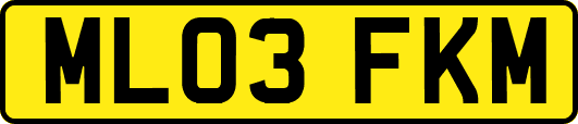 ML03FKM