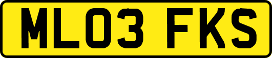 ML03FKS