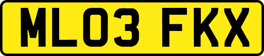 ML03FKX