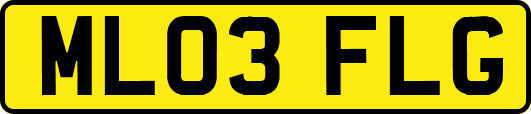 ML03FLG