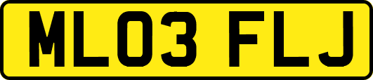ML03FLJ