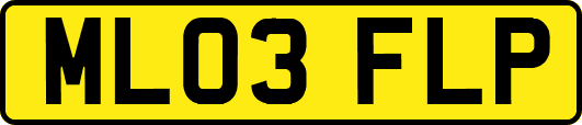 ML03FLP