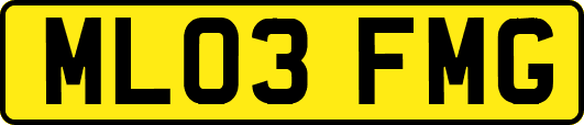 ML03FMG