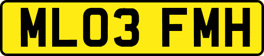 ML03FMH