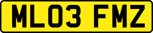ML03FMZ