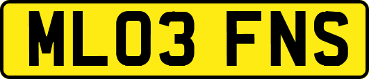 ML03FNS