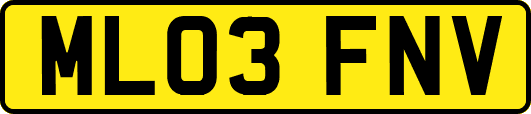 ML03FNV