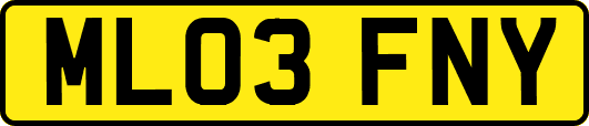 ML03FNY