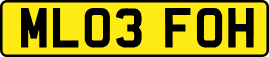 ML03FOH
