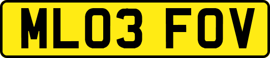 ML03FOV