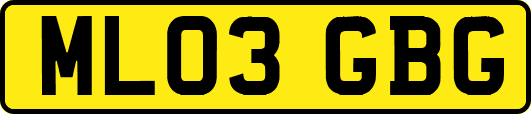 ML03GBG