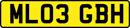 ML03GBH