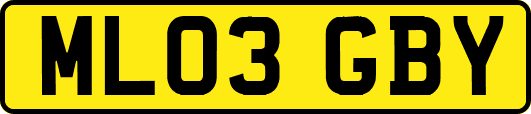 ML03GBY