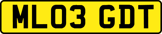 ML03GDT