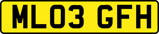 ML03GFH