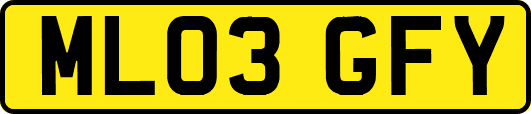 ML03GFY