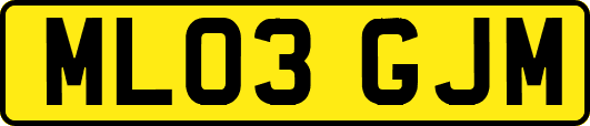 ML03GJM