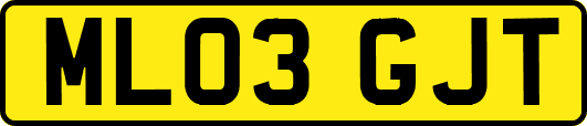 ML03GJT