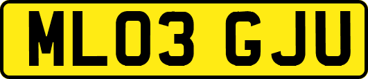 ML03GJU