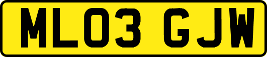 ML03GJW