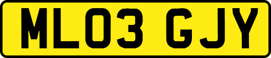 ML03GJY