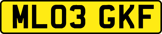 ML03GKF