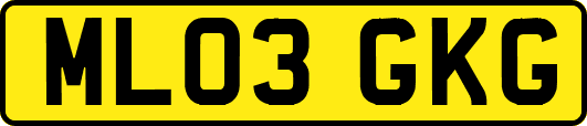 ML03GKG