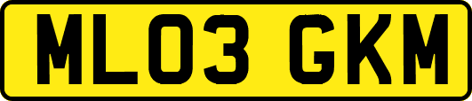 ML03GKM