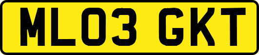 ML03GKT