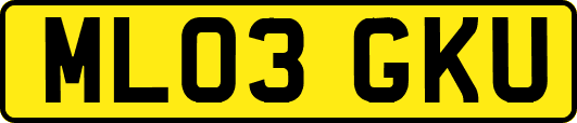 ML03GKU