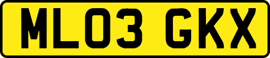 ML03GKX