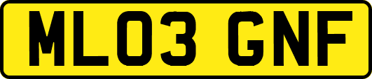 ML03GNF