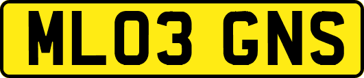 ML03GNS