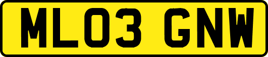 ML03GNW