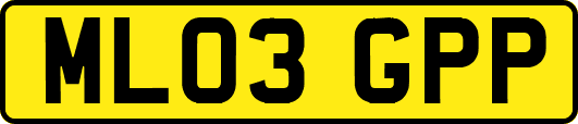 ML03GPP