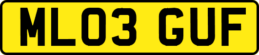 ML03GUF