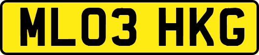 ML03HKG