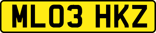 ML03HKZ