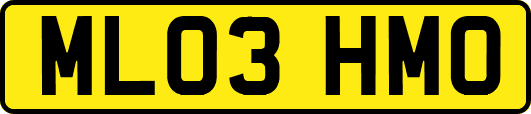 ML03HMO