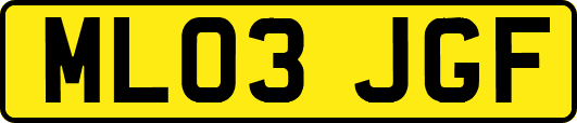 ML03JGF