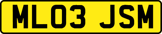 ML03JSM
