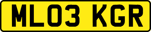 ML03KGR