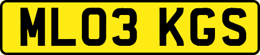 ML03KGS